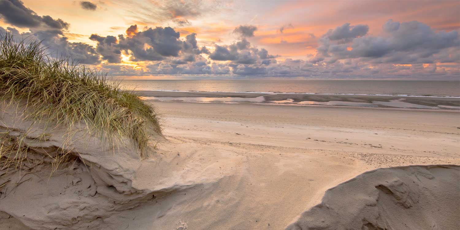 Angebote Be Bio Hotels in Tönning an der Nordsee