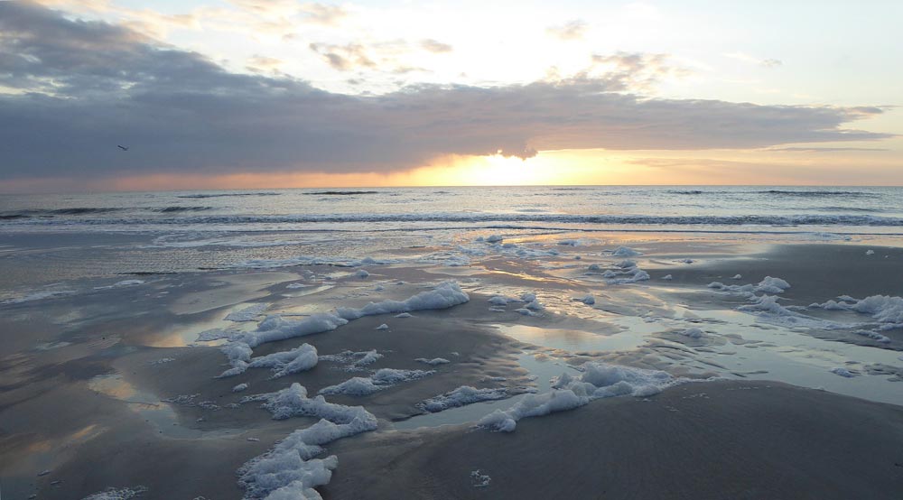 Massage Hotel be active in Tönning an der Nordsee