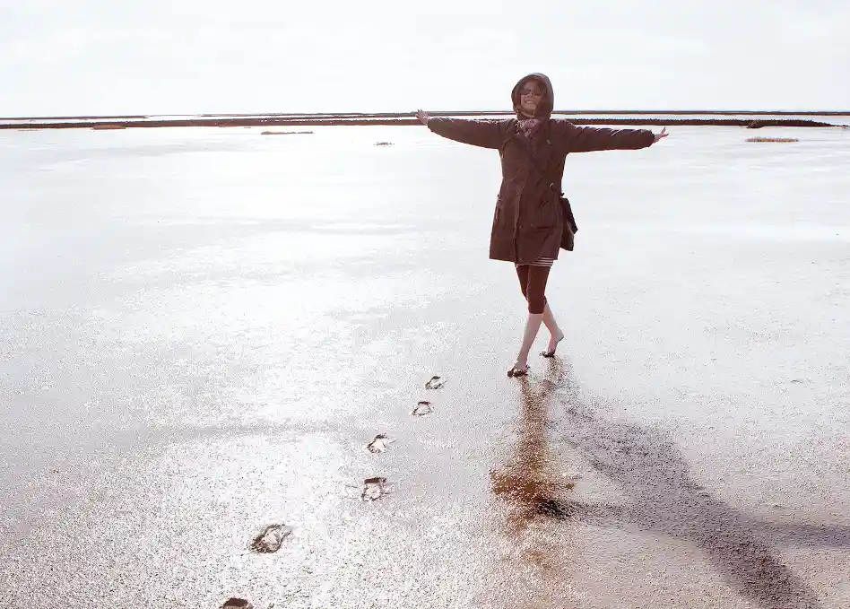 Glücklich aussehende Robbe am Strand, die Flosse wie beim Winken erhoben