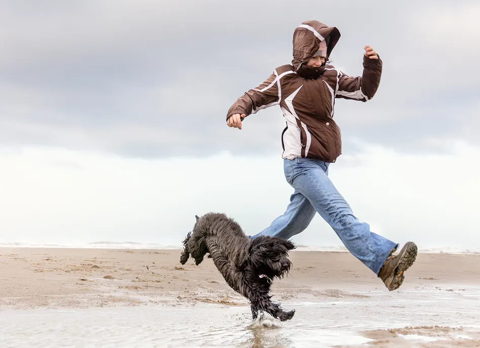 Glücklich aussehende Robbe am Strand, die Flosse wie beim Winken erhoben
