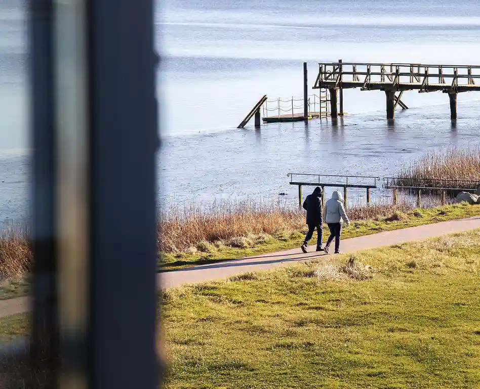 Schaf auf dem Deich - Kurzurlaub am Wattenmeer